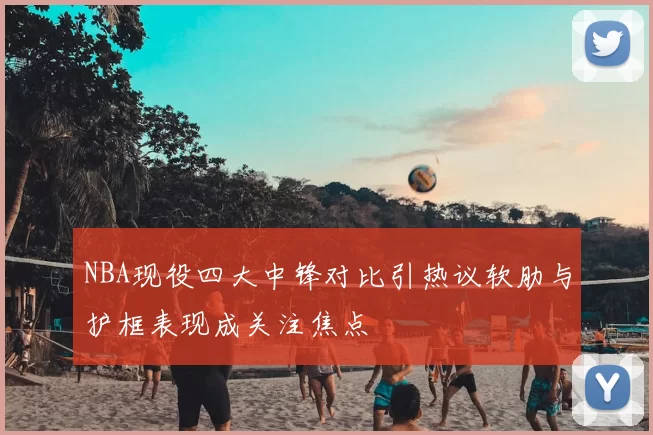 NBA现役四大中锋对比引热议软肋与护框表现成关注焦点