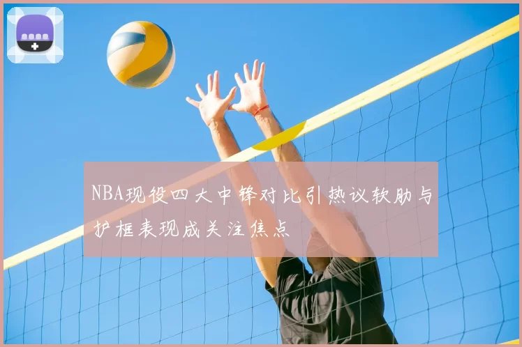 NBA现役四大中锋对比引热议软肋与护框表现成关注焦点